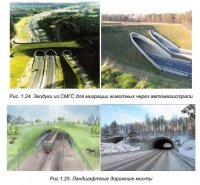 Основные виды и особенности трубчатых водопропускных сооружений в транспортном строительстве