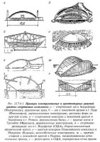 Конструктивные решения крытых стадионов