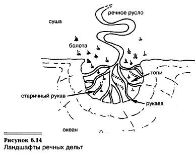 Песчаники речных дельт